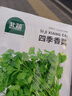 北蔬 香菜种子苗小叶芫荽夏秋阳台盆栽蔬菜种籽 四季香菜籽种子900粒 实拍图