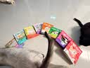喵梵思 脆块儿全价主食冻干持续锁鲜成猫幼猫冻干粮物理磨牙200g/160g 鸭肉口味160g*1包 实拍图