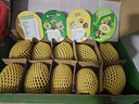 佳沛（zespri）新西兰阳光金果10个装单果重约103-114g 水果礼盒 猕猴桃 实拍图