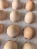 京鲜生【每日鲜蛋】无抗谷物鲜鸡蛋15枚/盒 1.5斤 源头直发 实拍图