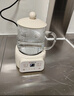 志高（CHIGO）养生壶小型一人全玻璃0胶水煮茶炖煮一体办公室静音电炖杯0.5L烧水壶烧水杯生日礼物BG-YSB202 实拍图