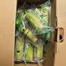 京鲜生陶山甘蔗果段无节装 净重3斤 10-20根 生鲜水果 源头直发包邮 实拍图