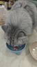 K9 Natural羊肉羊内脏50g生骨肉猫冻干猫零食成猫幼猫通用 新西兰原装进口 实拍图