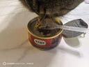 弗列加特 98%高含肉量 猫罐头 FPMR生骨肉猫湿粮 鲜鸡肉幼猫主食罐头95g 实拍图