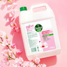 滴露（Dettol）洗手液补充装大桶消毒滋润5L 儿童家庭装杀菌护手 实拍图