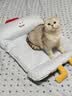 乐优派夏季猫窝狗窝四季通用垫子空调窝宠物窝冰丝睡垫可拆洗冰豆豆窝-L 实拍图
