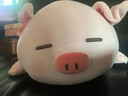 名创优品（MINISO）小猪B-BO弹力超柔趴姿公仔毛绒玩具玩偶抱枕靠枕娃娃生日礼物女 实拍图