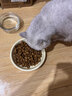 皇家猫粮 英短成猫粮 BS34 通用粮 12月以上 10KG 实拍图