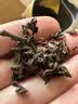 福东顺 茶叶 普洱茶云南勐海宫廷普洱熟茶散茶口粮茶大份量袋装500g 实拍图