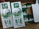 伊利【新鲜日期】金典纯牛奶早餐奶250ml*16 3.6g乳蛋白 礼盒装 2-3月 实拍图