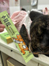 多特思猫零食小轻松猫草猫条50支0肉粉0诱食剂排毛化毛成幼猫条软罐头 实拍图
