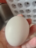 京鲜生【供港品质】【每日鲜蛋】无抗谷物鸡蛋30枚3.78斤当日产蛋当日发 实拍图