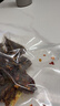 京东京造鲜来多风干牛脆片100g香辣香烤薄脆牛脆脆内蒙特产健身减脂 实拍图