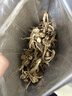 十月稻田 茶树菇 200g 未开伞 高蛋白 汤鲜肉滑 菌菇干货 炒菜煲汤火锅 实拍图