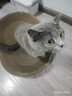 【京东物流】猫抓板磨爪猫窝一体耐磨不掉屑超大号猫玩具猫咪用品 椭圆巨无霸+猫薄荷 实拍图
