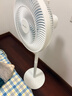 格力（GREE）【花精灵Se版】一级能效直流变频轻音节能遥控电风扇卧室落地扇静音家用风扇柔风桌面电扇 实拍图
