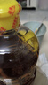鲁花【保真菜籽油】低芥酸特香菜籽油 2L 物理压榨【京东品酒会同款】 实拍图