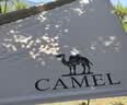 骆驼（CAMEL）户外精致露营黑胶天幕帐篷遮阳便携式防晒野营大凉棚1J32263960-2 实拍图