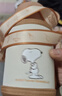 史努比（SNOOPY）儿童保温杯带吸管直饮男女小学生316不锈钢喝水杯子双盖壶500ml咖 实拍图
