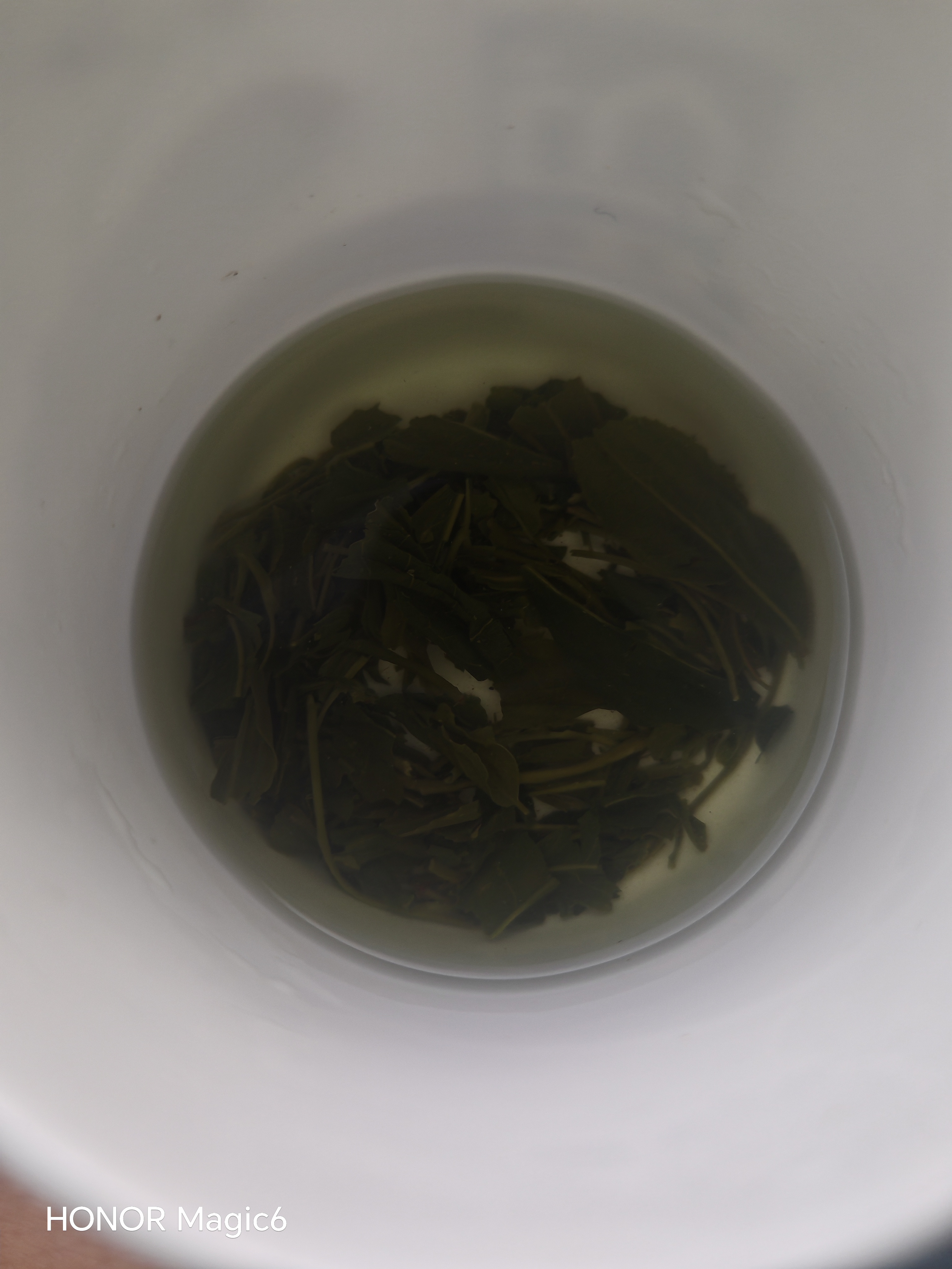明前高山云雾绿茶浓香型春茶散装炒青茶叶碧螺春自己喝 云雾绿茶500克【大份量】 实拍图