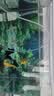 森森 超白玻璃小鱼缸HWK-600P裸缸款水草缸金鱼缸小型水族箱水草缸  实拍图