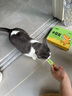 多特思猫零食小轻松猫草猫条50支0肉粉0诱食剂排毛化毛成幼猫条软罐头 实拍图