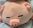名创优品（MINISO）小猪B-BO弹力超柔趴姿公仔毛绒玩具玩偶抱枕靠枕娃娃生日礼物女 实拍图