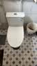 九牧（JOMOO）11396-2-1/41KB-1抗菌一级水效坐便器虹吸式节水连体马桶400坑距 实拍图