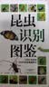 昆虫识别图鉴 实拍图