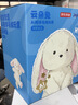 京东京造AI毛绒玩具儿童玩具JoyInside智能AI陪伴机器人生日礼物 云朵兔 实拍图