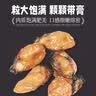 倾海之宴【青岛源头产地】生蚝干300g 牡蛎干海产干货煲汤 源头直发包邮 实拍图