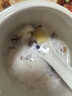 展艺 烘焙原料diy自制布丁粉果冻粉 布丁甜品原料 芒果味布丁粉100g 实拍图
