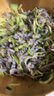 阿具泡椒鱼皮150g*10包  开袋即食 海鲜开胃小吃 烧烤聚会小凉菜 实拍图