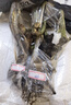 玫瑰花苗老桩绿植物盆栽月季蔷薇老根室内外阳台庭院特大花卉四季 46摩纳哥公爵（老桩苗四季开花） 实拍图