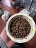 冠能狗粮大中型犬幼犬狗粮2.5kg 全价狗粮 含牛初乳 实拍图