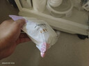安可新一次性内裤女纯棉7A抗菌旅行卫生免洗灭菌孕产妇加大XXXL码5条装 实拍图
