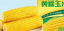 十月稻田 黄甜糯玉米 8根 3.52斤 真空包装 东北粘玉米棒 低脂早餐 实拍图