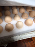 京鲜生 无抗保洁鲜鸡蛋30枚/盒 健康轻食 礼盒送礼 1.5kg/盒 源头直发 实拍图