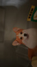 冠能狗粮体重控制绝育犬成犬狗粮全价2.5kg 高蛋白低脂肪健康减轻体重 实拍图