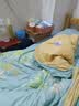 恒源祥 被罩100%全棉被套单双人印花单被套 韵味 床上用品 200*230cm 实拍图