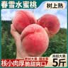 顺丰特大果春雪水蜜桃新鲜桃子水果脆甜毛桃应季孕妇次日达 1斤【大果丨单果150g+】 实拍图