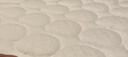 晚安（goodnight）床垫 星河天然椰棕床垫弹簧床垫偏硬WGD89-Plus 硬感护脊 硬感椰棕护脊 1.5米*2米【闪电发货】 实拍图