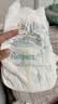 帮宝适超薄透气清新帮拉拉裤新生儿婴儿尿不湿尿片透氧Pro mini L30 实拍图