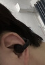 联想【旗舰顶配版】真无线蓝牙耳机耳夹式蓝牙5.4骨传导概念开放式不入耳挂耳式通话降噪跑步运动耳机 魔力黑【蓝牙5.4+360°环绕音】 DT定向传音+ENC双麦降噪 实拍图