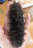 参王朝 大连直发冷冻冷蒸即食海参辽刺参海鲜水产礼盒 165g 香菇海参酱 实拍图