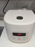 荣事达（Royalstar）电饭煲电饭锅家用2-3人智能预约煮粥煲汤煮饭锅多功能保温陶瓷釉奶油白带蒸笼3升RFB-S30N6（Y） 实拍图