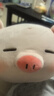 名创优品（MINISO）小猪B-BO弹力超柔趴姿公仔毛绒玩具玩偶抱枕靠枕娃娃生日礼物女 实拍图