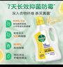 滴露（Dettol）多效衣物除菌液阳光柠檬2.5L 衣物杀菌消毒液除霉剂 7天抑菌除螨 实拍图