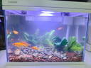 森森（SUNSUN）超白鱼缸一体缸自循环客厅水族箱桌面家用懒人免换水小型金鱼缸 超白HEJ380标配+水溶景 实拍图