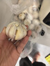 张飞牛皮豆干500g豆腐干四川特产豆干办公室休闲解馋零食独立包装 实拍图